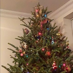 Meet your Posher, Nataliya